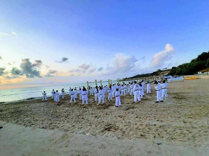 Club sportiv Budo Seishin - Scoala de arte martiale