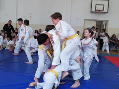 Club sportiv Budo Seishin - Scoala de arte martiale